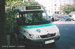 501_basset_3